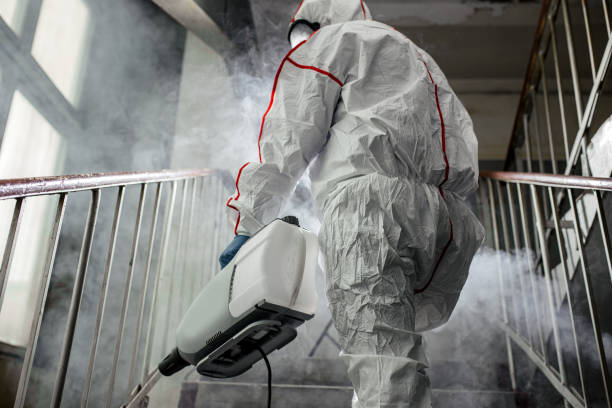 Mold Remediation for Rental Properties in Jonestown, TX